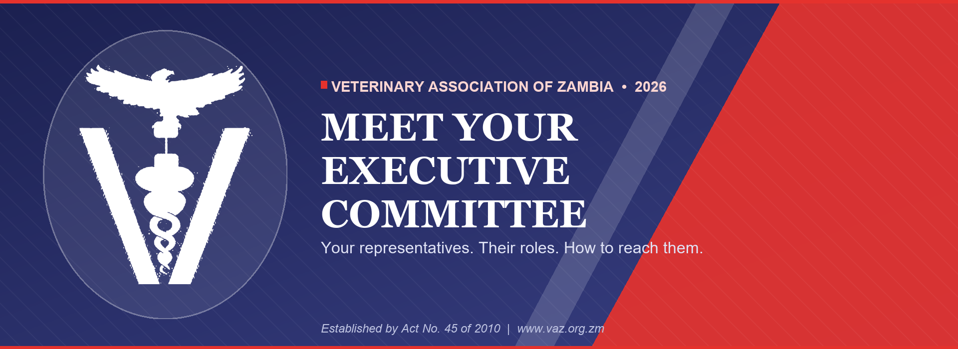 MEMBER NOTICE - MEET YOUR EXECUTIVE COMMITTEE