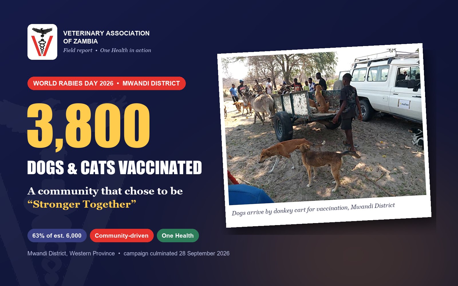 Stronger Together in Mwandi: 3,800 Dogs and Cats Vaccinated in a Community-Driven Rabies Campaign